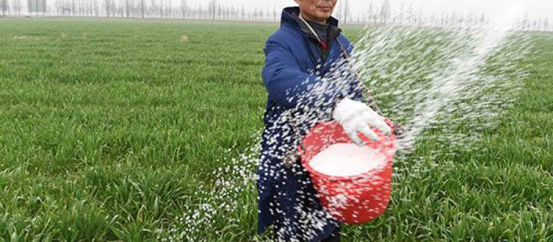 我国药肥研究现状、行业现状及存在问题